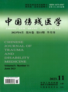 点击查看中国伤残医学
